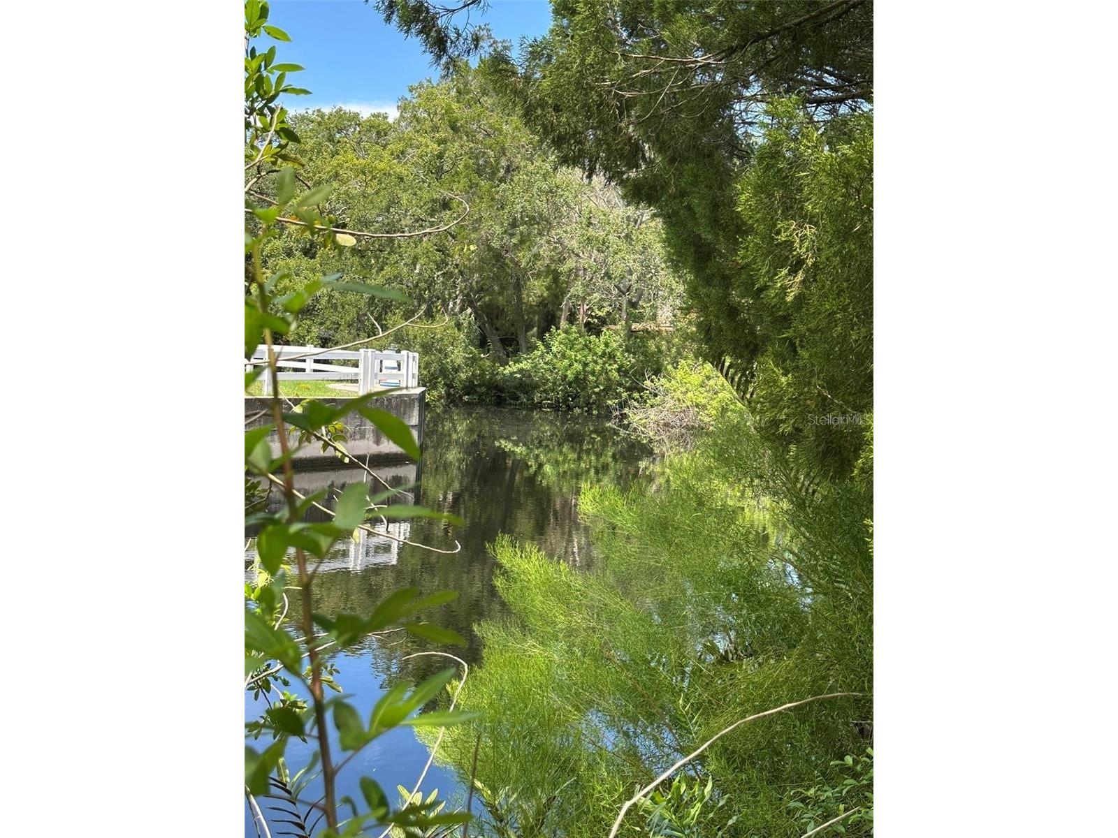 14569 and 0 Coral Drive Hudson FL 34667 TB8486346 image5