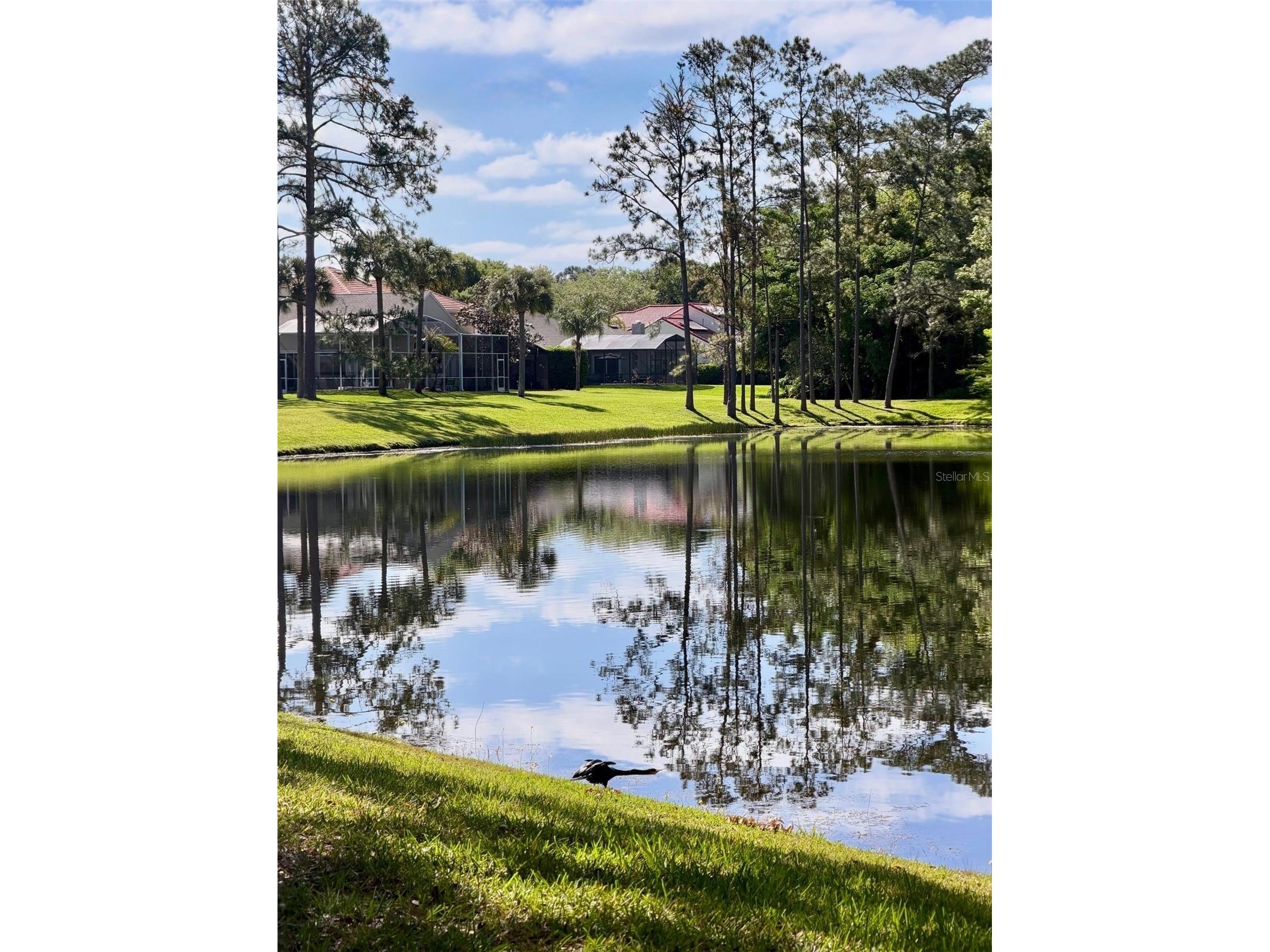 14569 Gainesborough Drive Orlando FL 32826 O6412034 image69