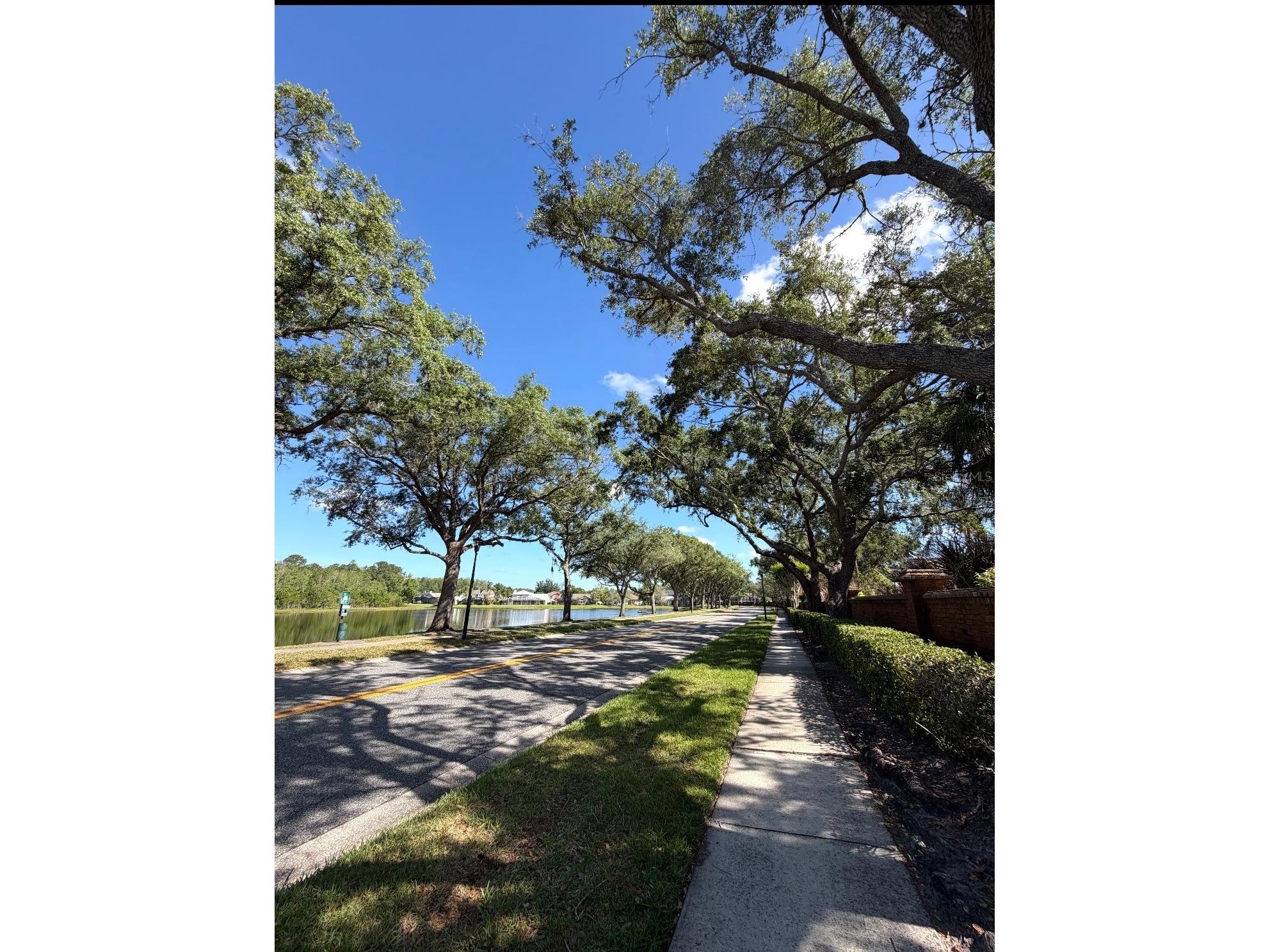 14569 Gainesborough Drive Orlando FL 32826 O6412034 image72
