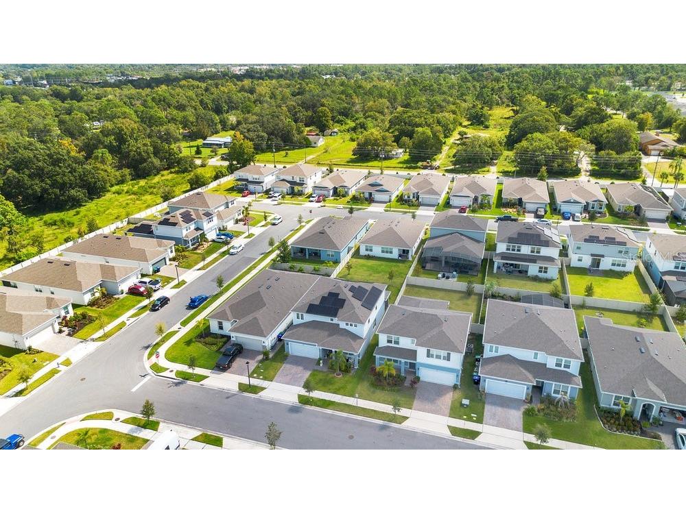 1457 Grand Palm Drive Orlando FL 32828 O6345631 image39