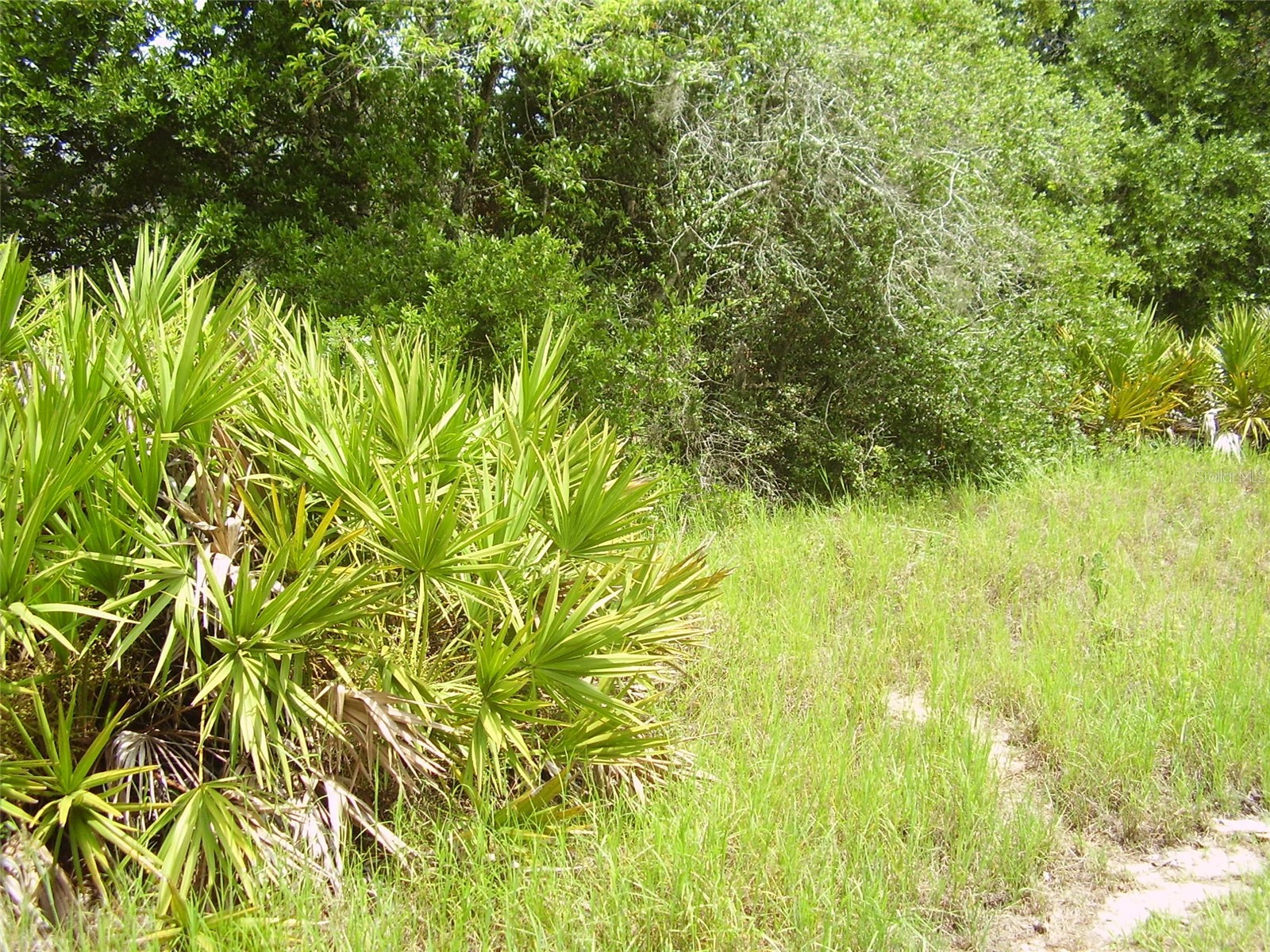 1457 Kissimmee Way Kissimmee FL 34759 R4911408 image1