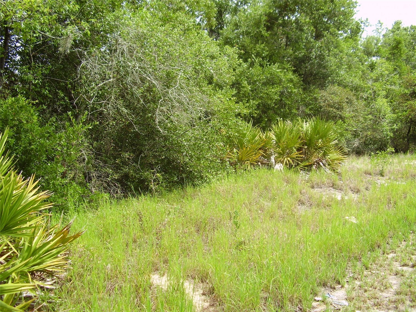 1457 Kissimmee Way Kissimmee FL 34759 R4911408 image2