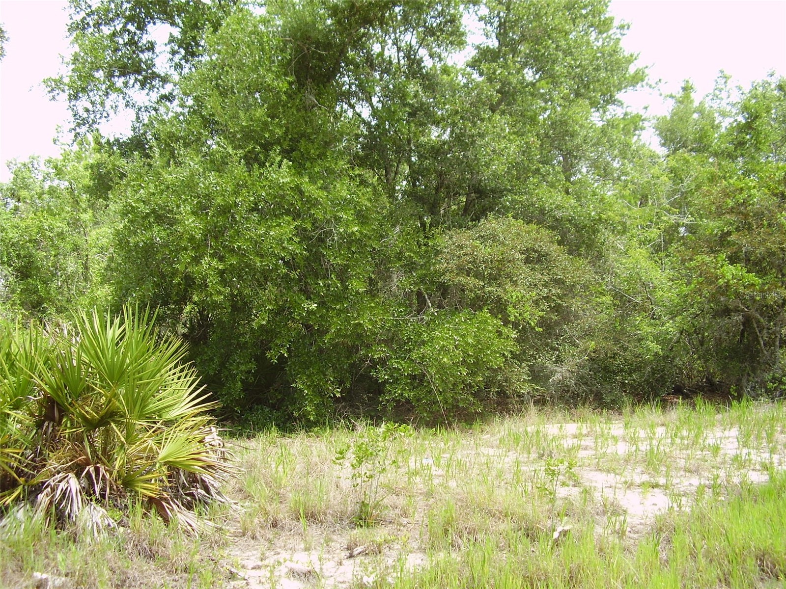 1457 Kissimmee Way Kissimmee FL 34759 R4911408 image4