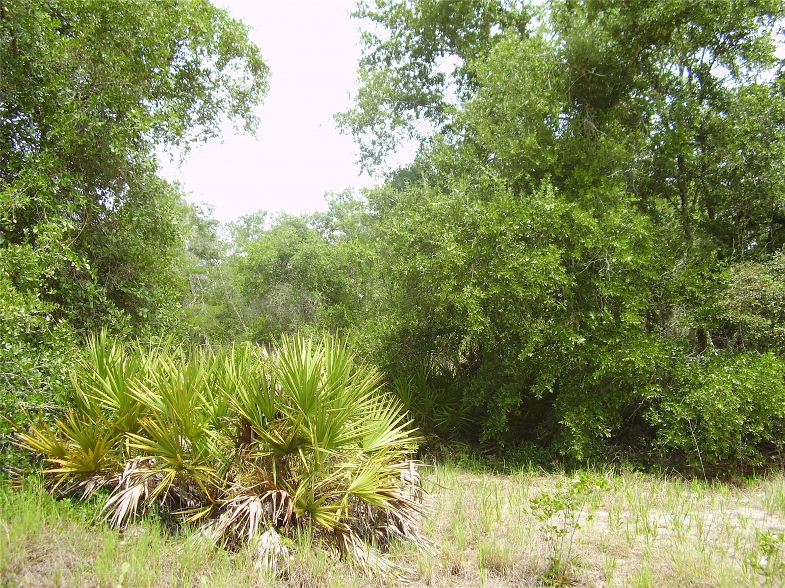 1457 Kissimmee Way Kissimmee FL 34759 R4911408 image5