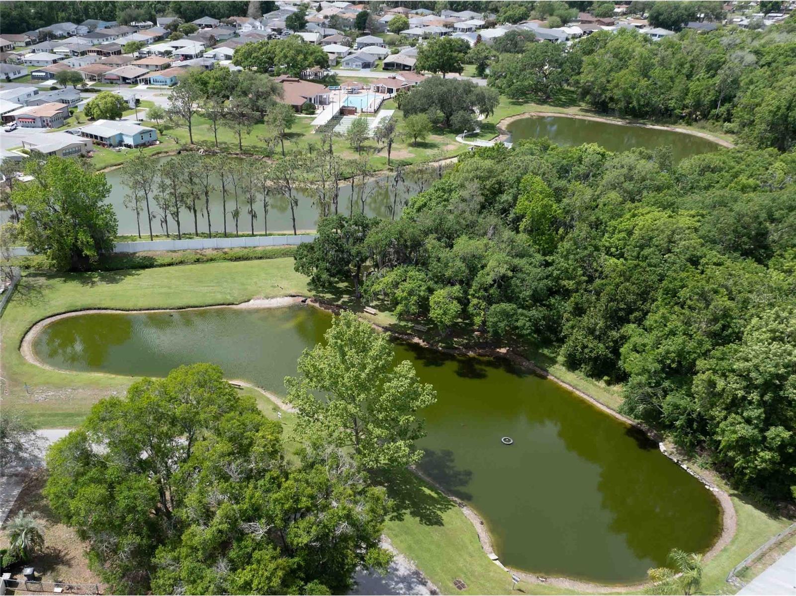 1457 Marigold Drive Lakeland FL 33811 TB8493254 image28