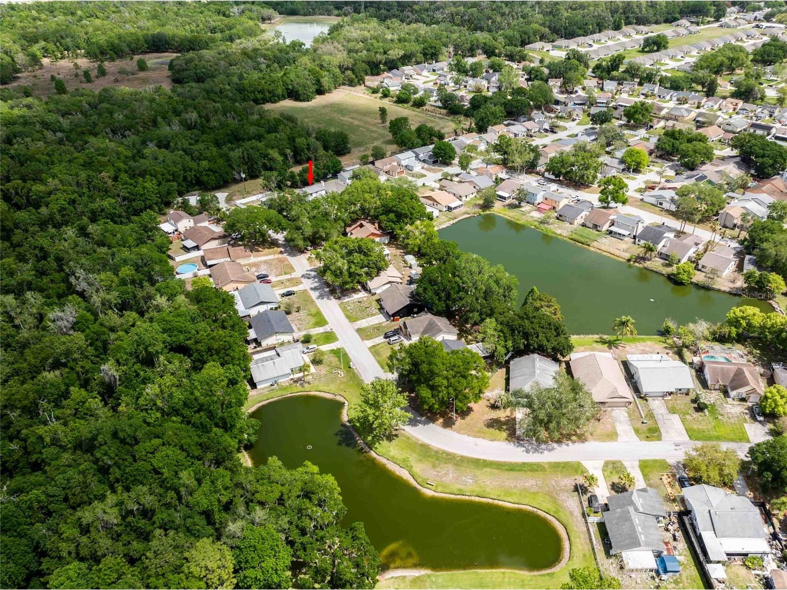 1457 Marigold Drive Lakeland FL 33811 TB8493254 image37