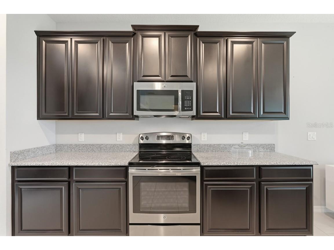 1457 Osprey Ridge Drive Eustis FL 32736 FC313694 image9