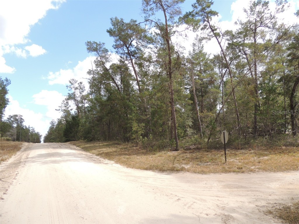 14570 SE 8th Street Williston FL 32696 OM647617 image1