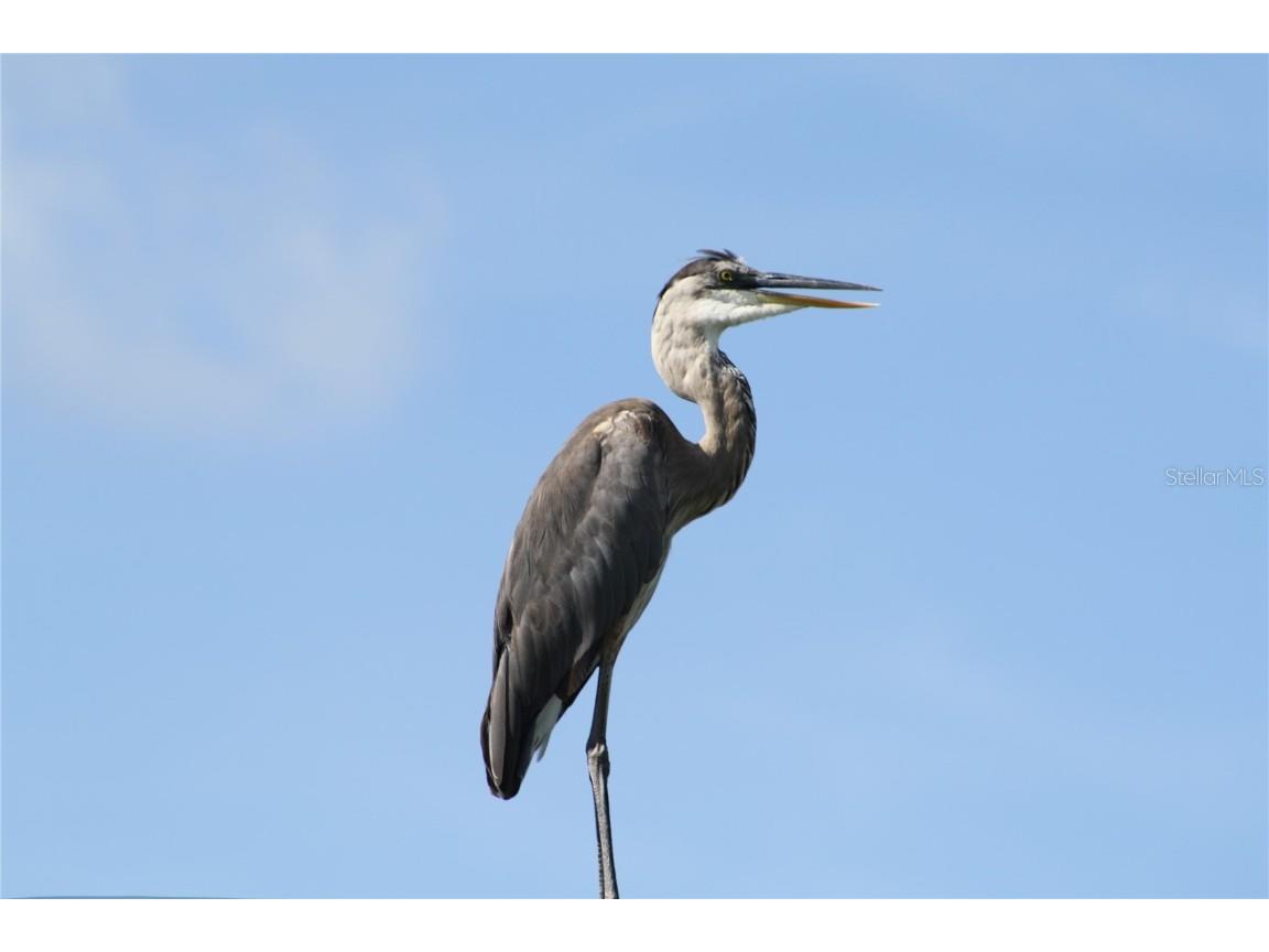 14573 Ponce De Leon Trail Port Charlotte FL 33981 A4664466 image57