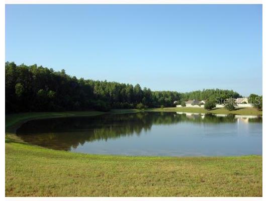 14574 Quail Trail Circle Orlando FL 32837 O6351419 image14