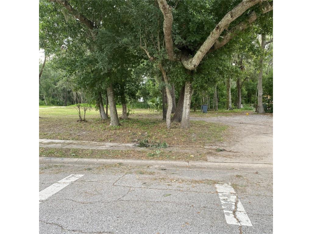 14577 Siplin Road Winter Garden FL 34787 O6233008 image3