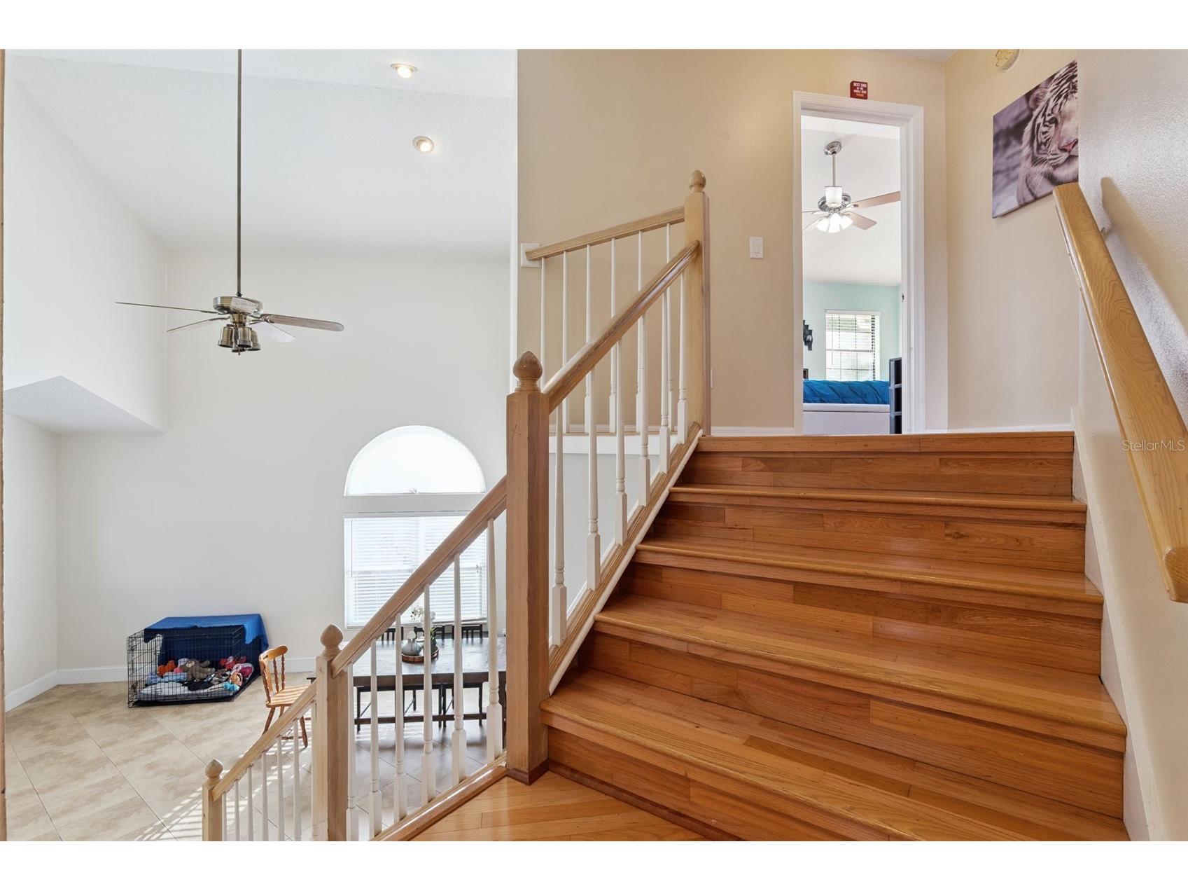 1458 Royal Circle Apopka FL 32703 O6400772 image23