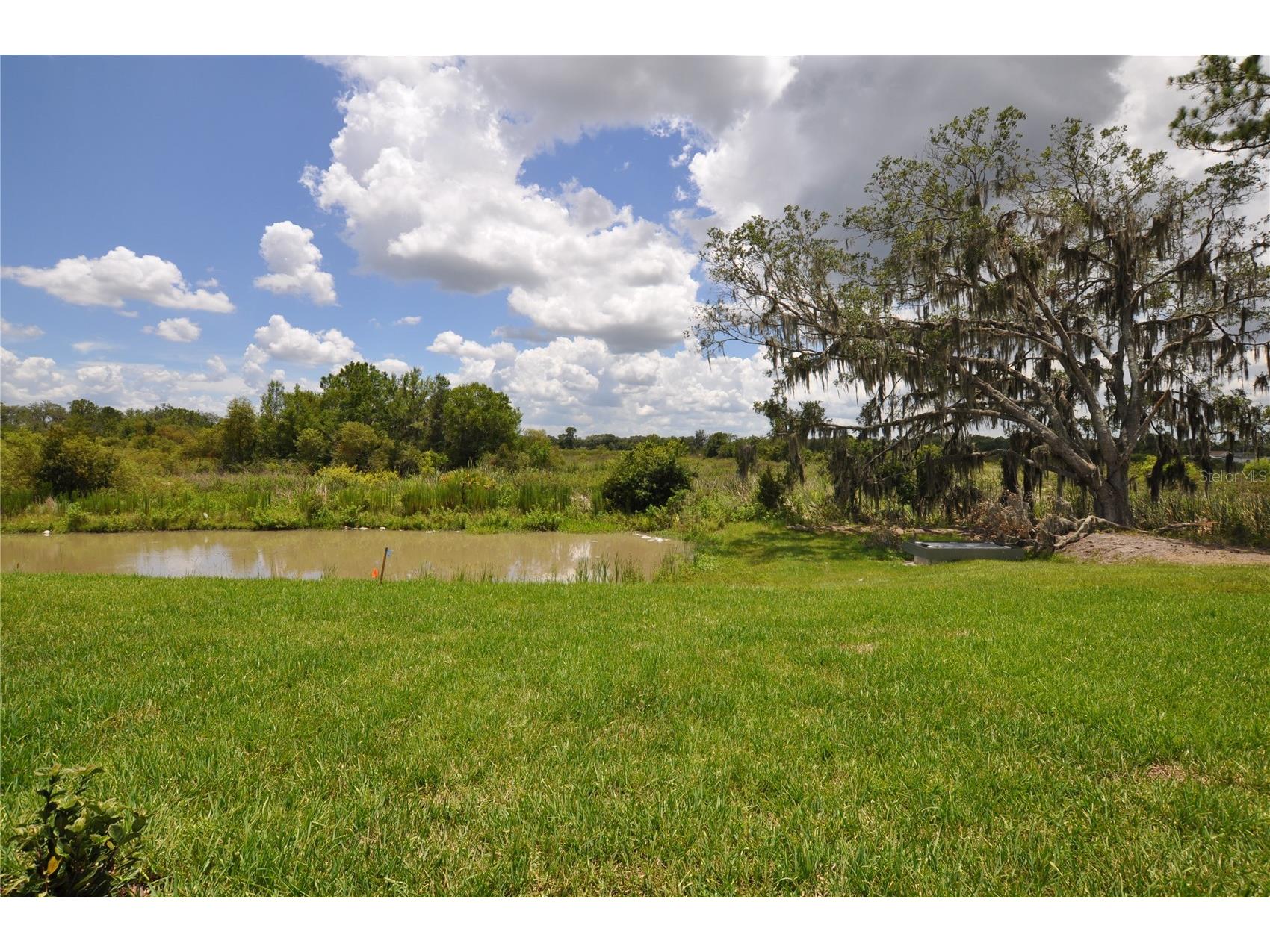 1458 Tahitian Sunrise Drive Plant City FL 33565 TB8490158 image16