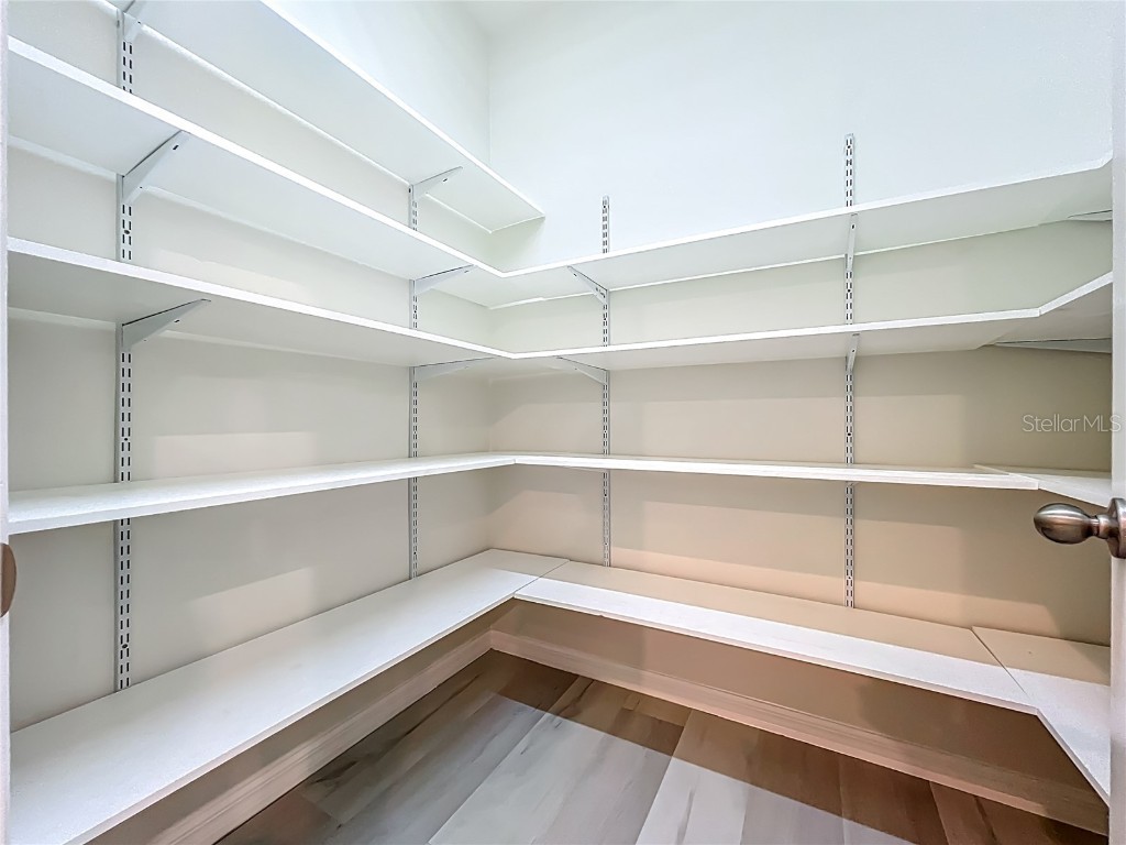 14585 Magnolia Ridge Loop Winter Garden FL 34787 O6337393 image24