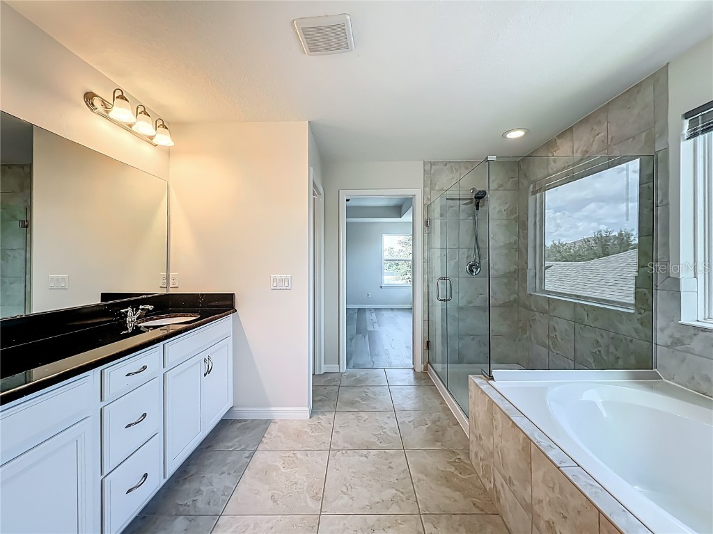 14585 Magnolia Ridge Loop Winter Garden FL 34787 O6337393 image46