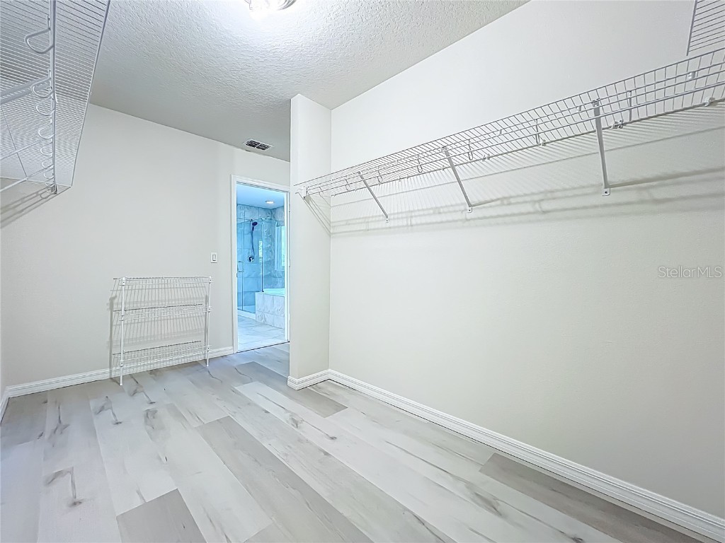 14585 Magnolia Ridge Loop Winter Garden FL 34787 O6337393 image49