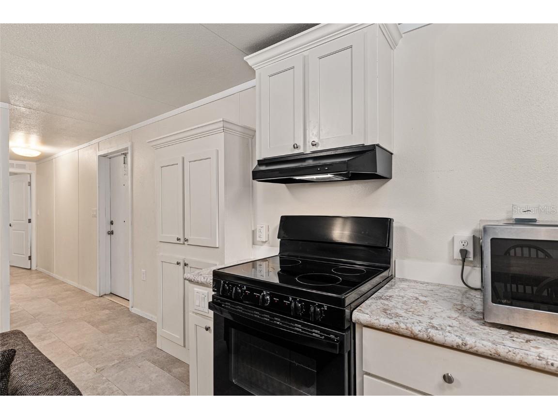 14585 NE 149th Lane Fort Mc Coy FL 32134 OM712223 image6