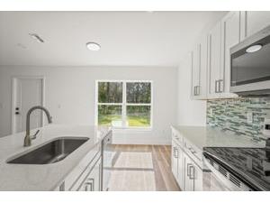 14586 Mocking Wren Road Weeki Wachee FL 34614 W7876963 image13