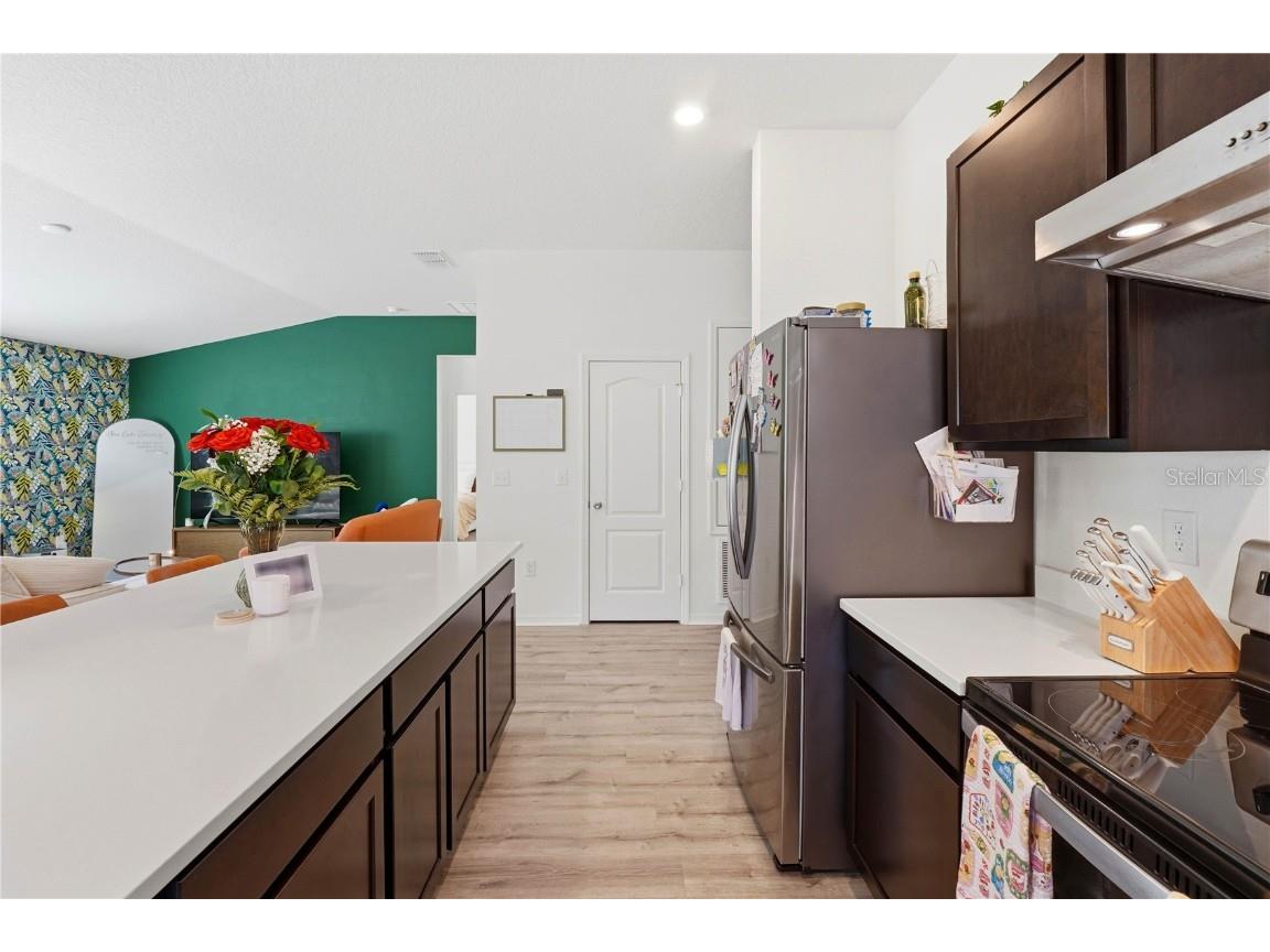 1459 Geranium Drive Mascotte FL 34753 O6360330 image10