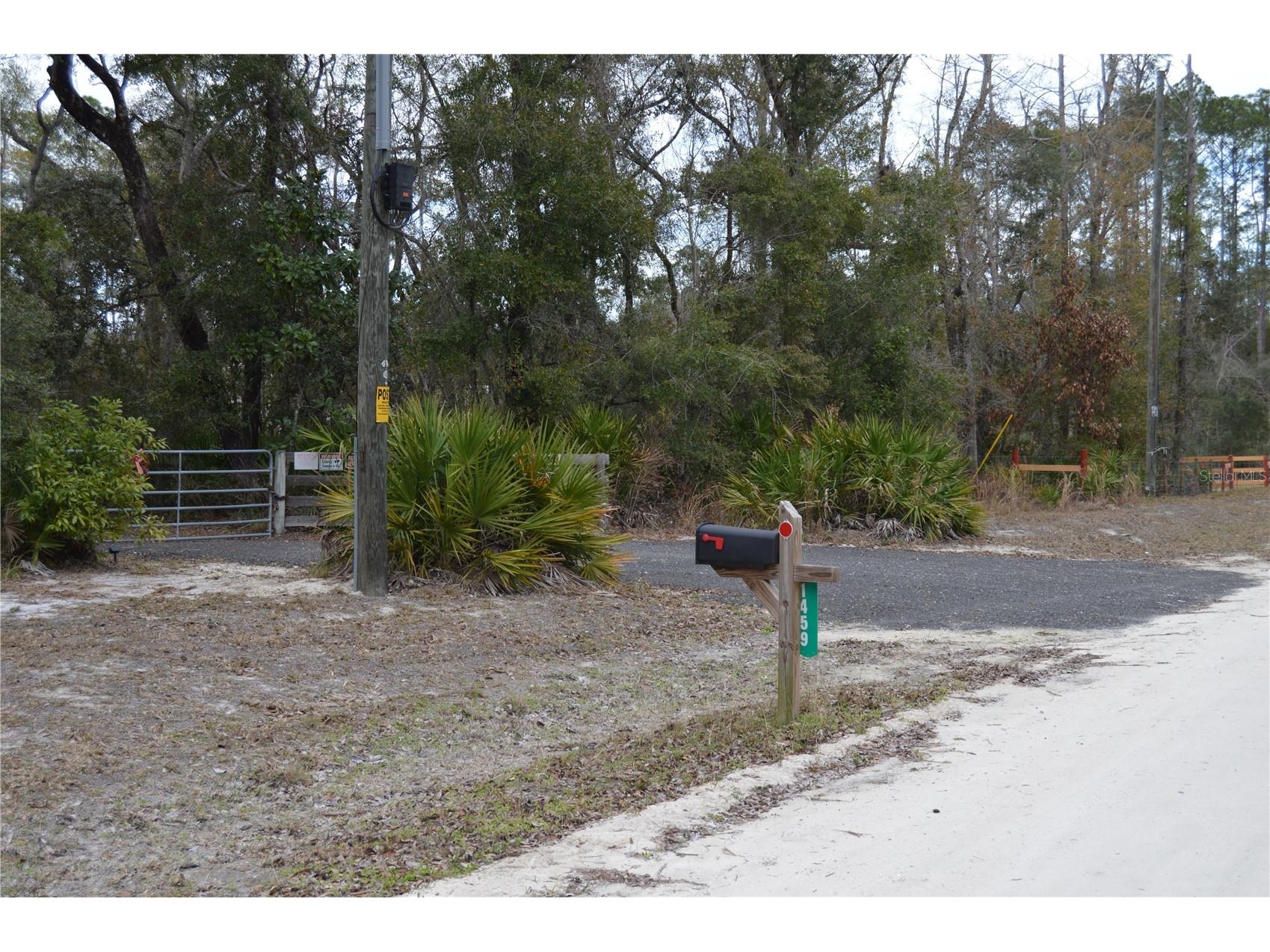 1459 NE 743 Street Cross City FL 32628 W7883878 image1