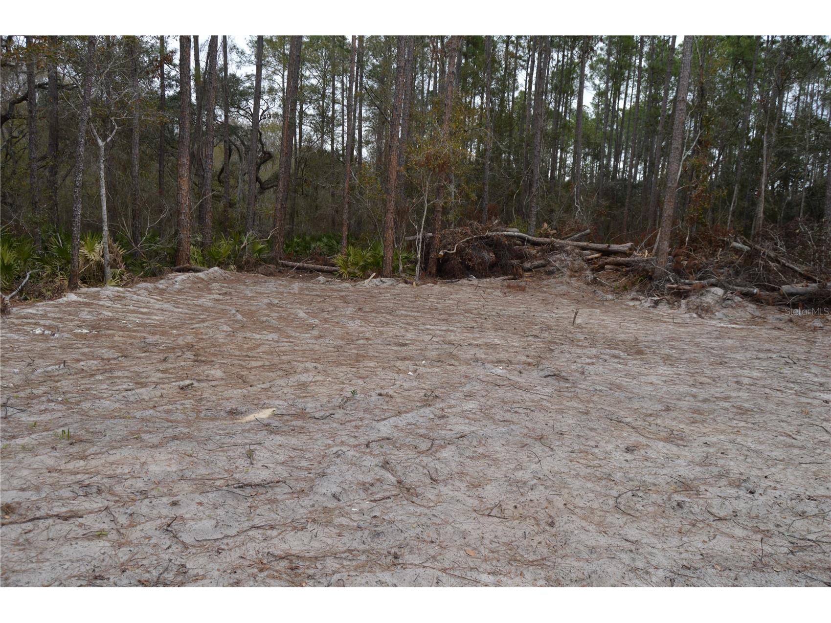 1459 NE 743 Street Cross City FL 32628 W7883878 image14