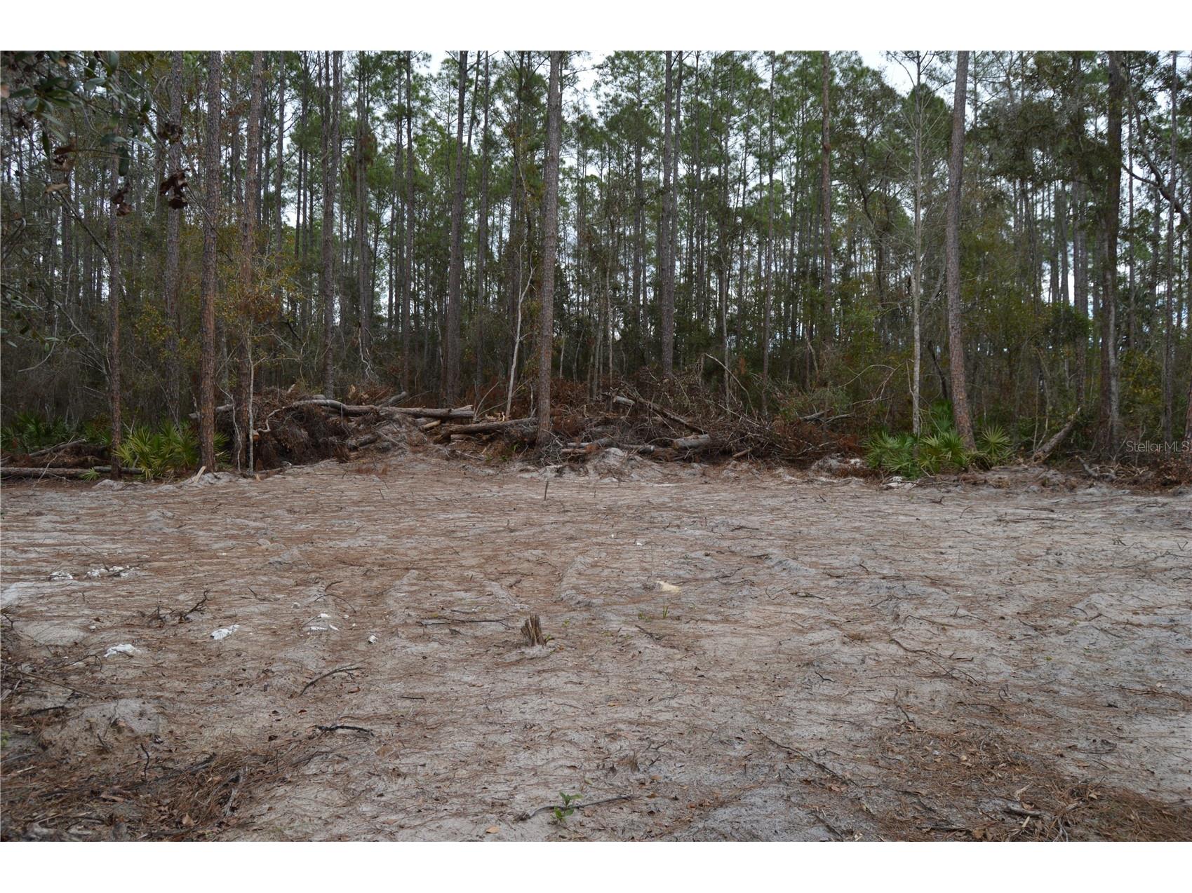 1459 NE 743 Street Cross City FL 32628 W7883878 image15