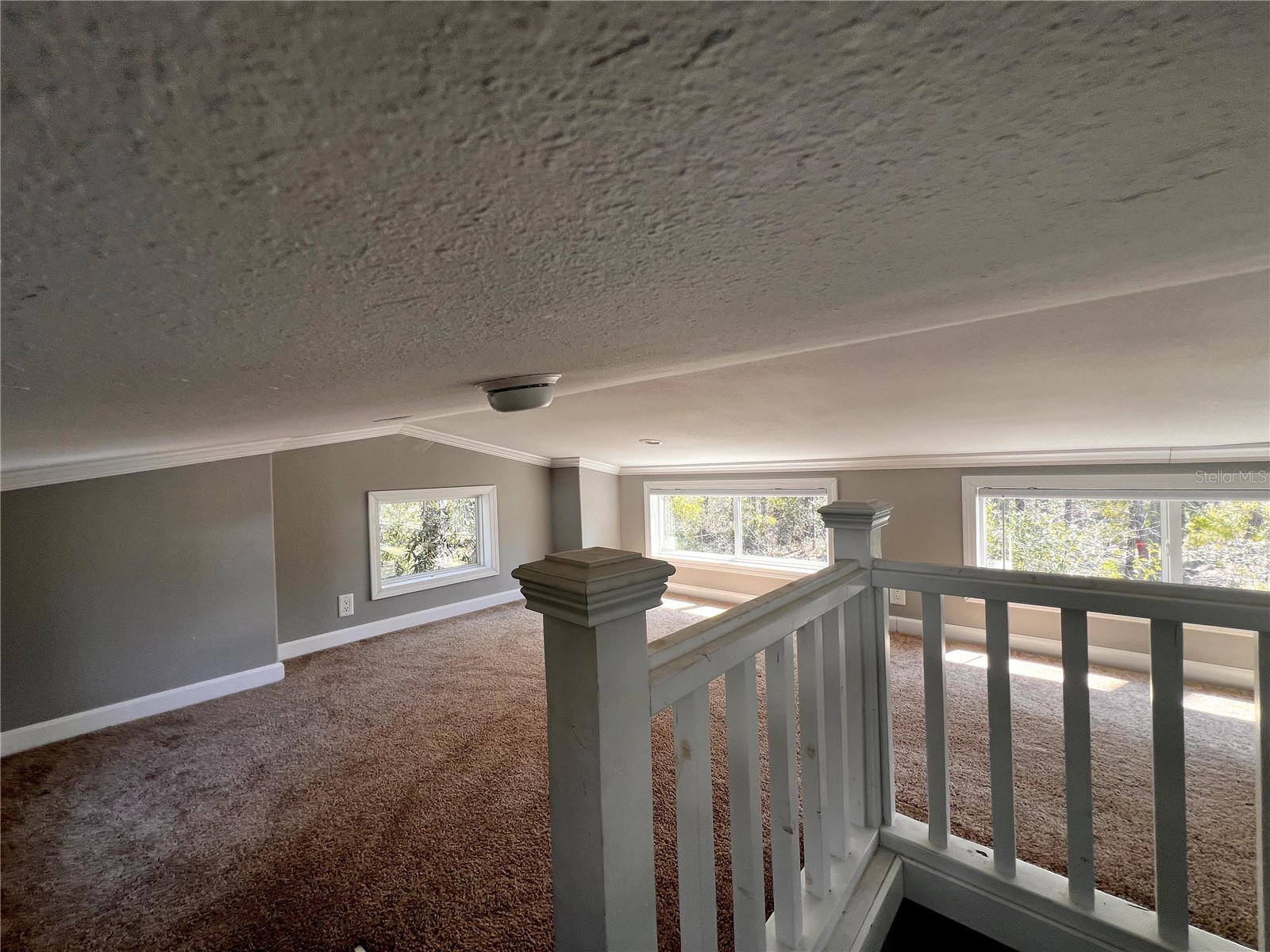 1459 NE 743 Street Cross City FL 32628 W7883878 image31