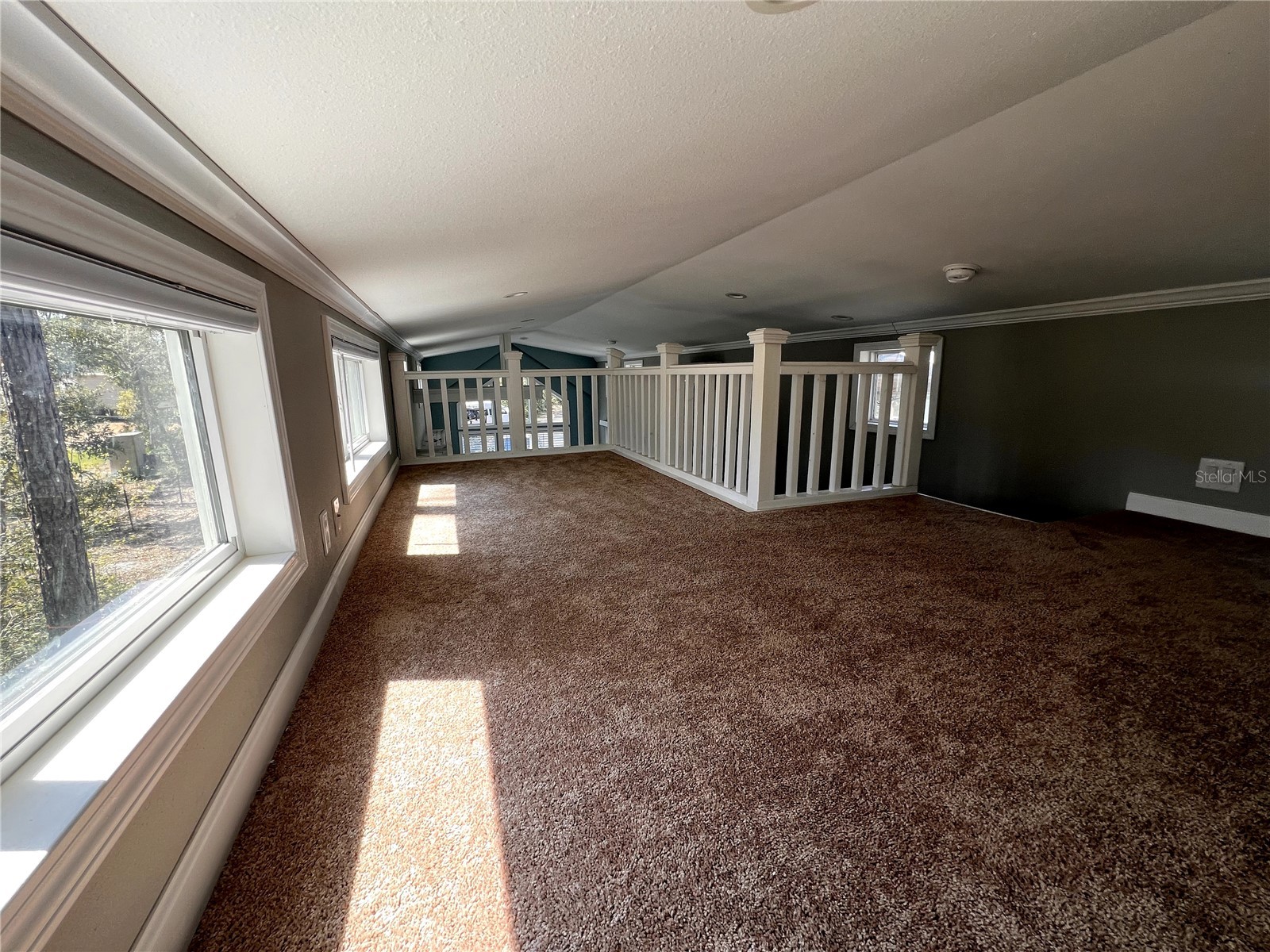 1459 NE 743 Street Cross City FL 32628 W7883878 image33