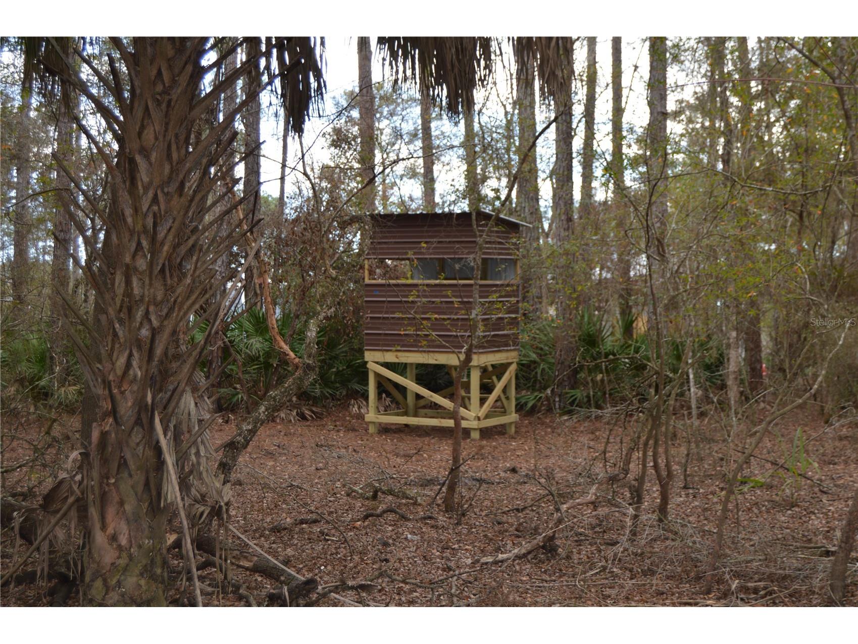1459 NE 743 Street Cross City FL 32628 W7883878 image51