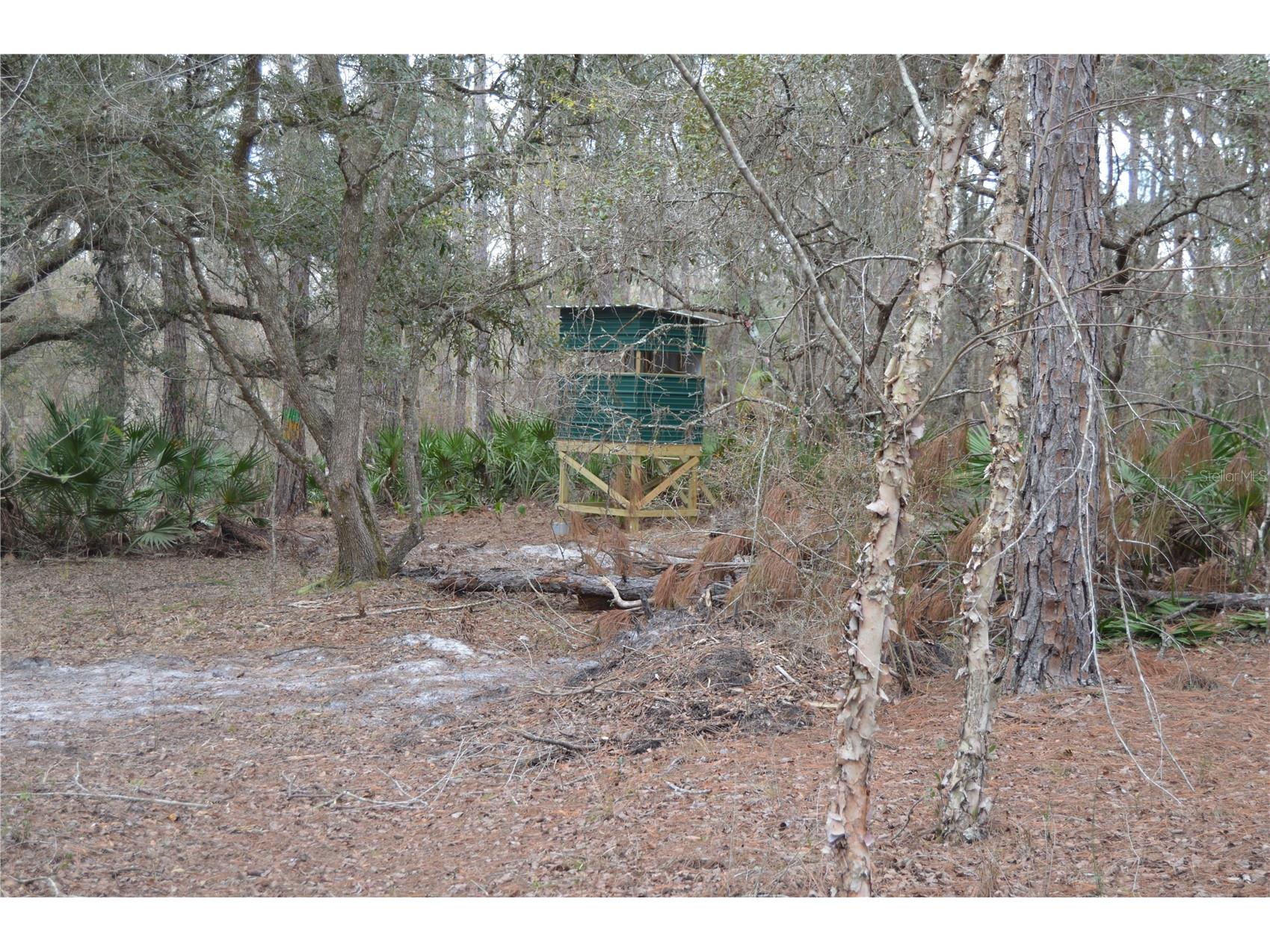 1459 NE 743 Street Cross City FL 32628 W7883878 image58