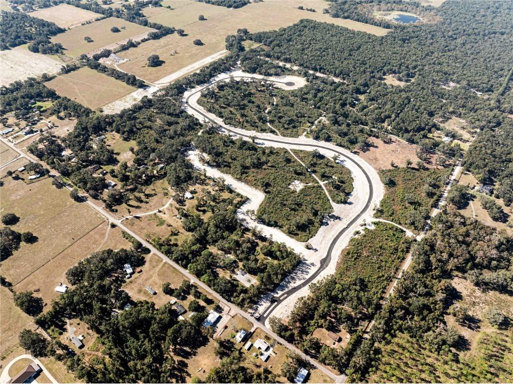 1459 Oxford Preserve Trl Oxford FL 34484 G5093736 image5