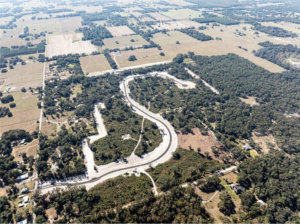 1459 Oxford Preserve Trl Oxford FL 34484 G5093736 image6