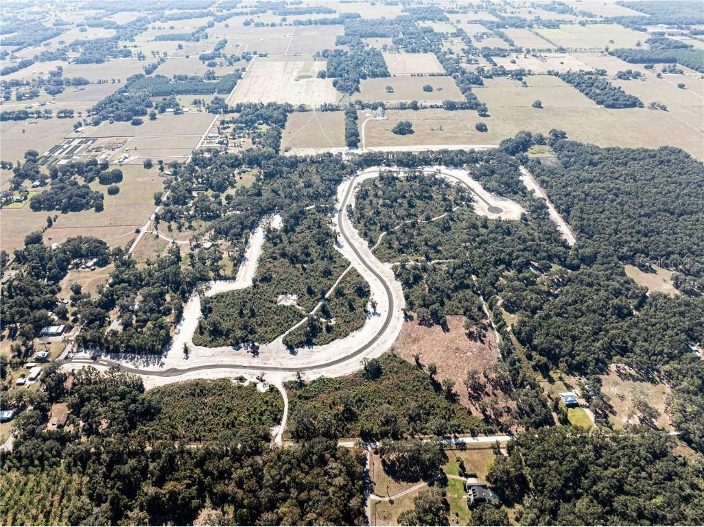 1459 Oxford Preserve Trl Oxford FL 34484 G5093736 image7