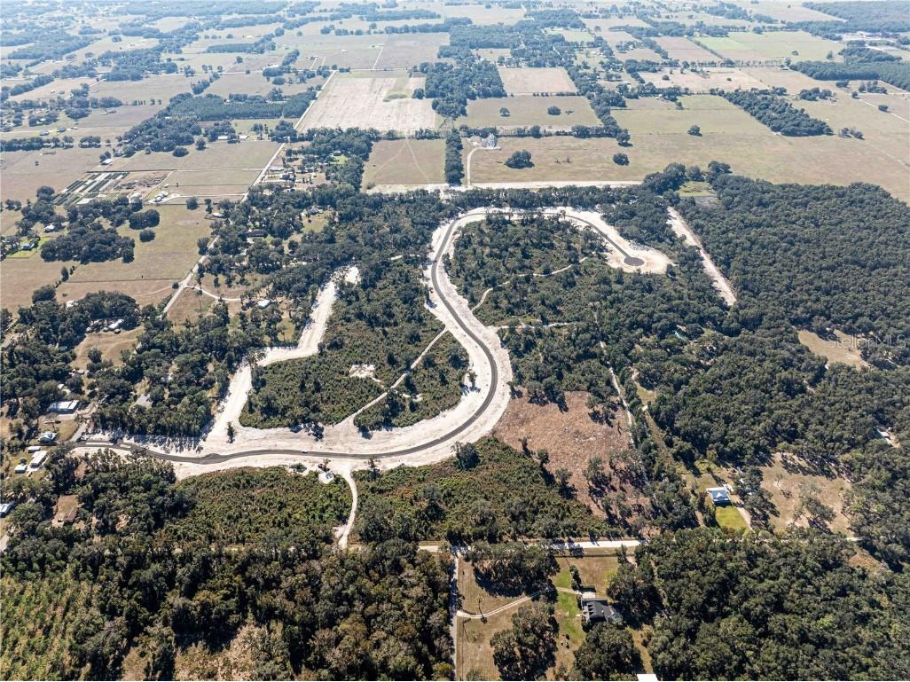 1459 Oxford Preserve Trl Oxford FL 34484 G5093736 image9