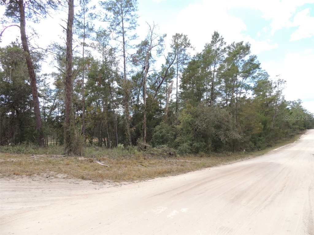 14590 SE 8th Street Williston FL 32696 OM647446 image1