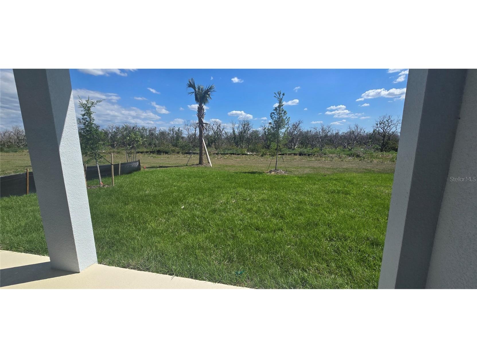 14599 Crestavista Drive Clermont FL 34714 O6298604 image11