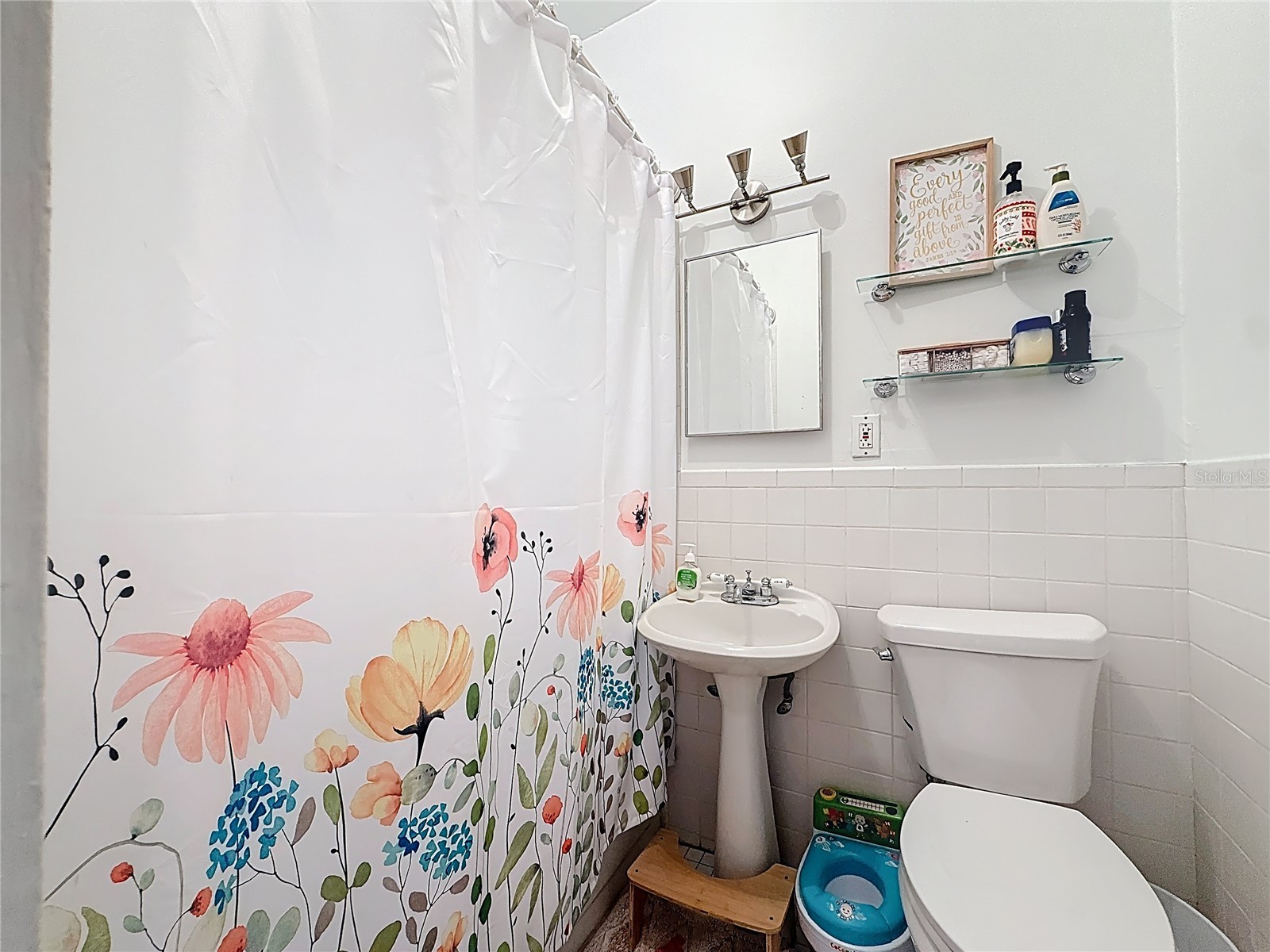 146 13th Avenue NE Saint Petersburg FL 33701 TB8488725 image39