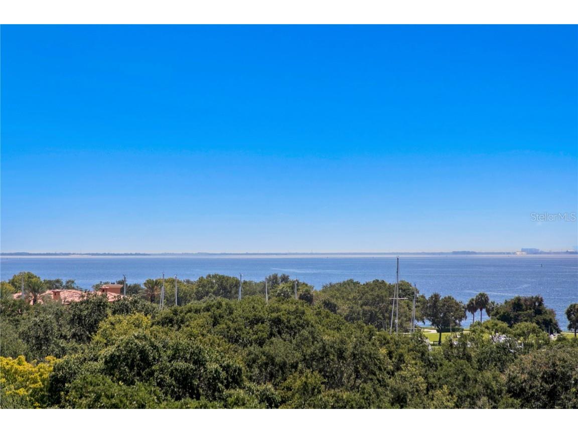 146 4th Avenue NE #600 Saint Petersburg FL 33701 - TAMPA BAY TB8362300 image19