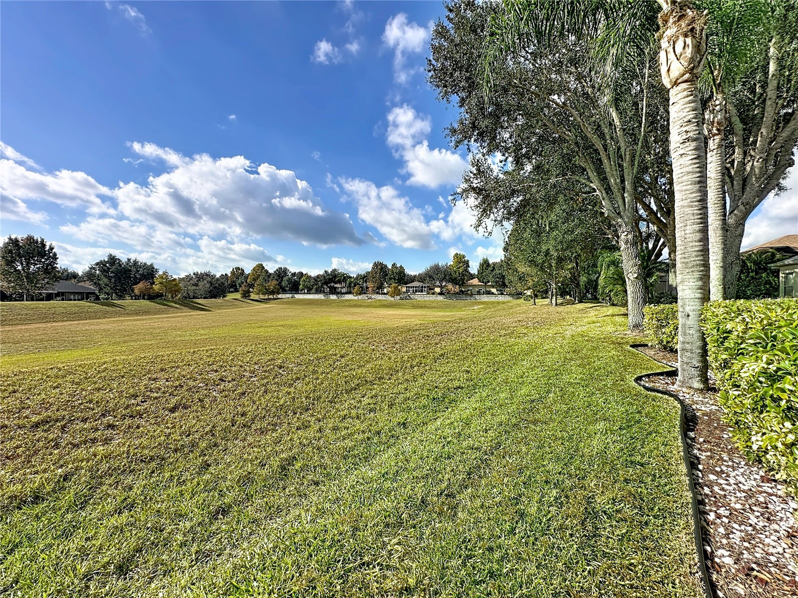 146 Crepe Myrtle Drive Groveland FL 34736 - SCHOOL HOUSE LAKE G5106624 image51