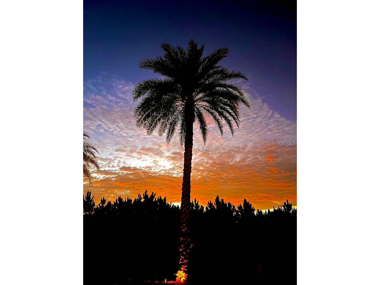 146 Jack Nicklaus Lane Davenport FL 33837 O6399382 image36