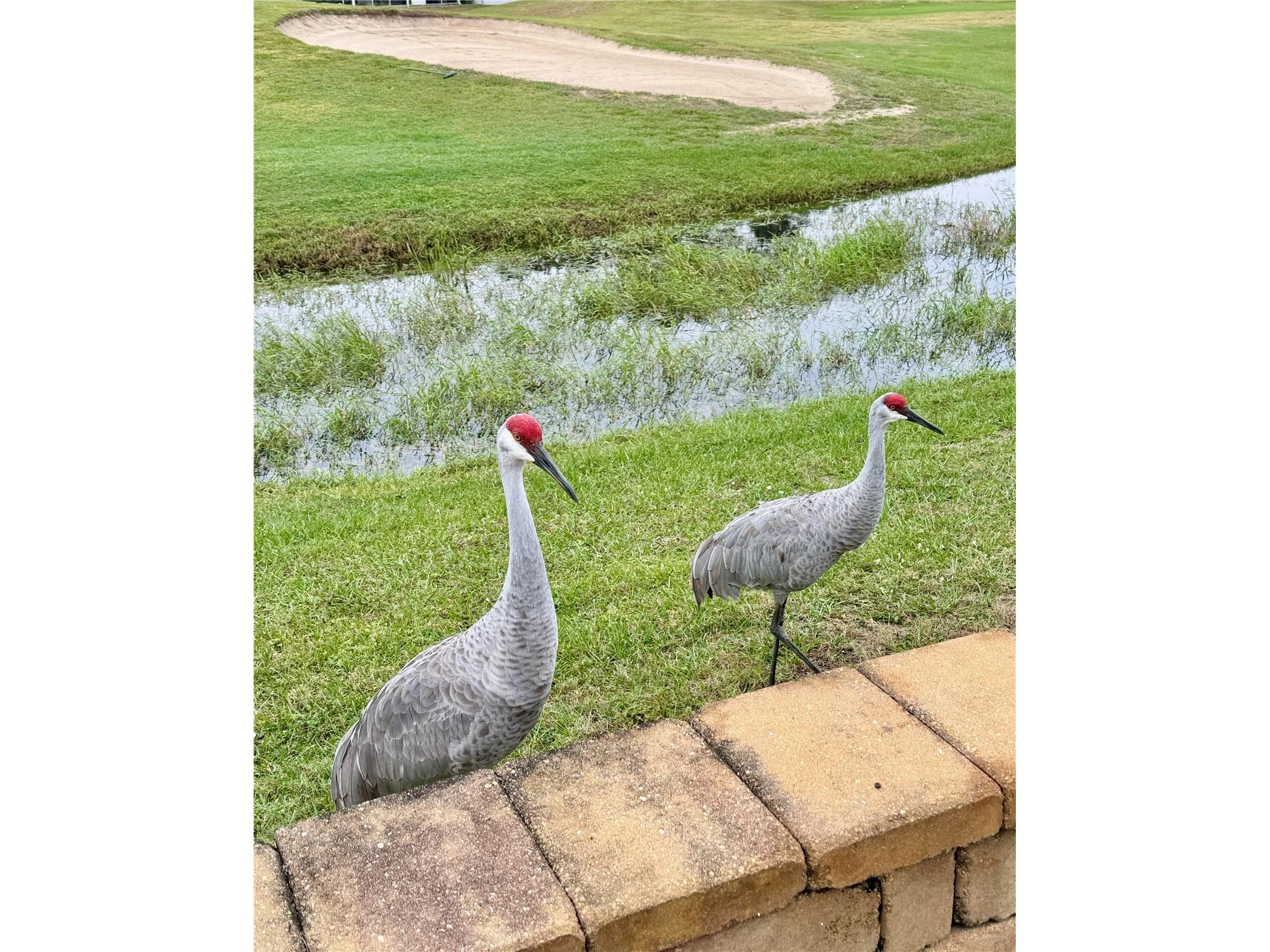 146 Jack Nicklaus Lane Davenport FL 33837 O6399382 image40