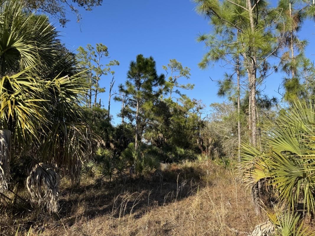 146 La Playa Lane Port Charlotte FL 33953 A4681985 image2