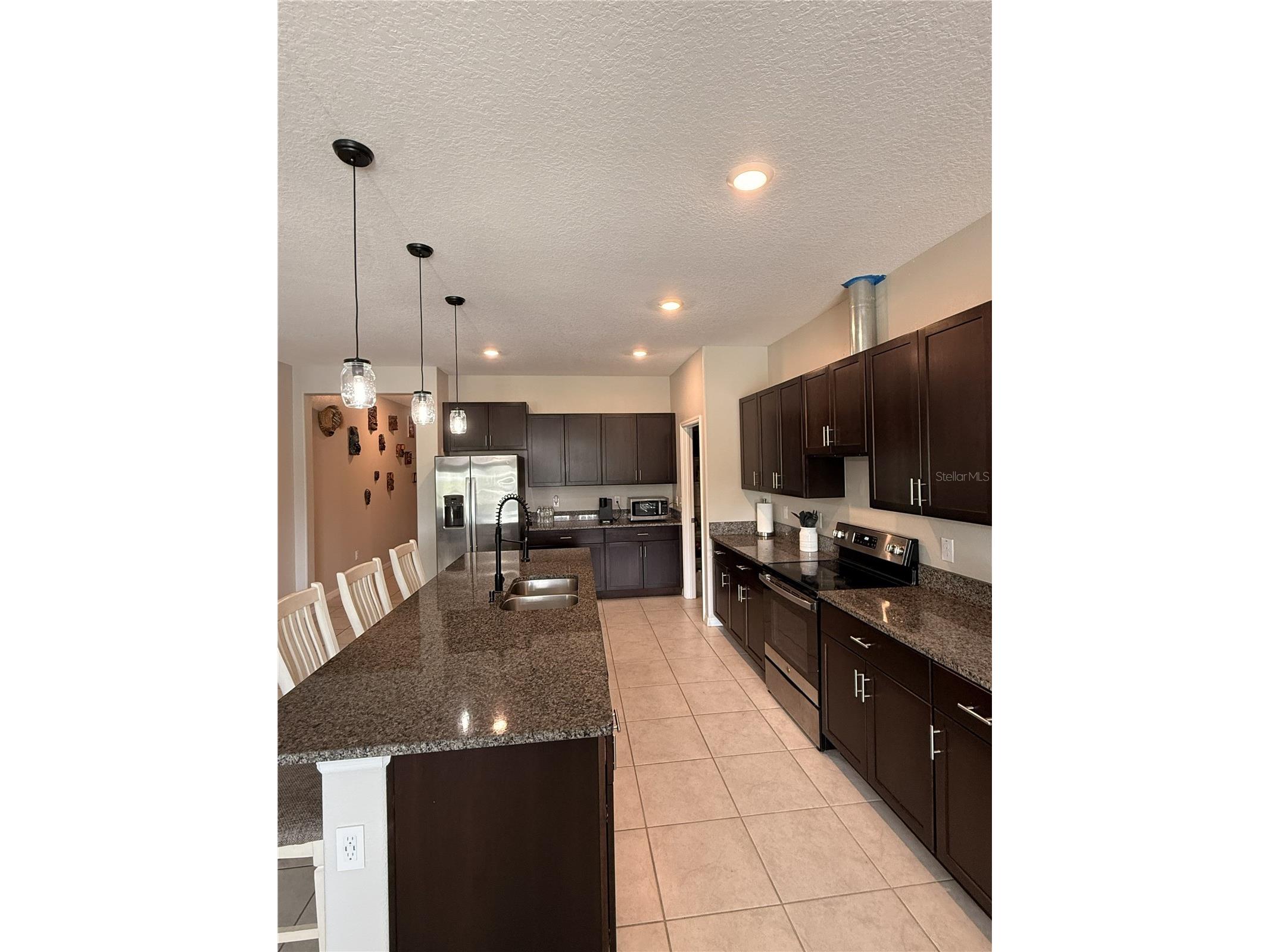 146 Rain Berry Avenue Ruskin FL 33570 TB8495692 image29