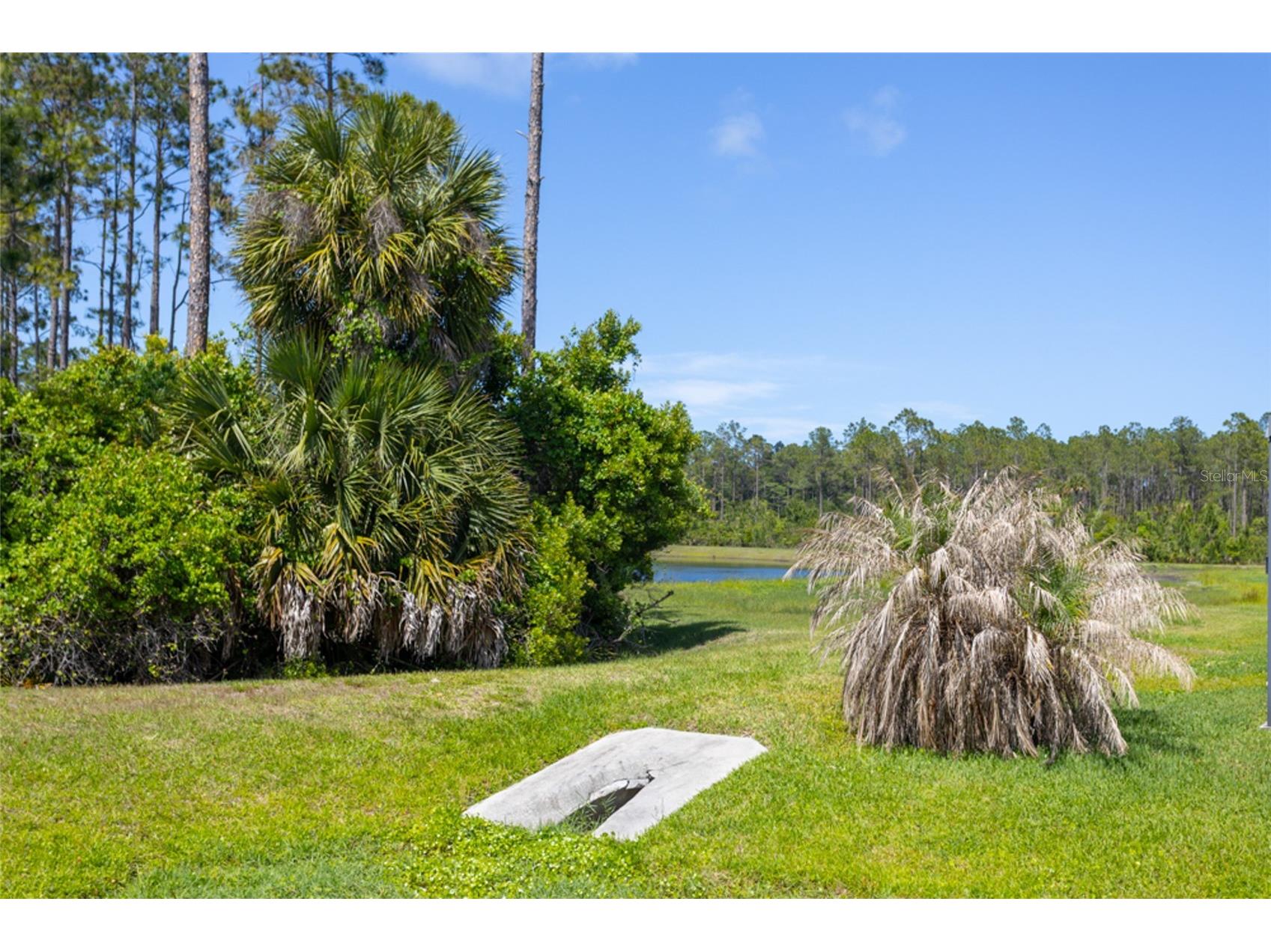 146 S Hummingbird Place Palm Coast FL 32164 FC318049 image30