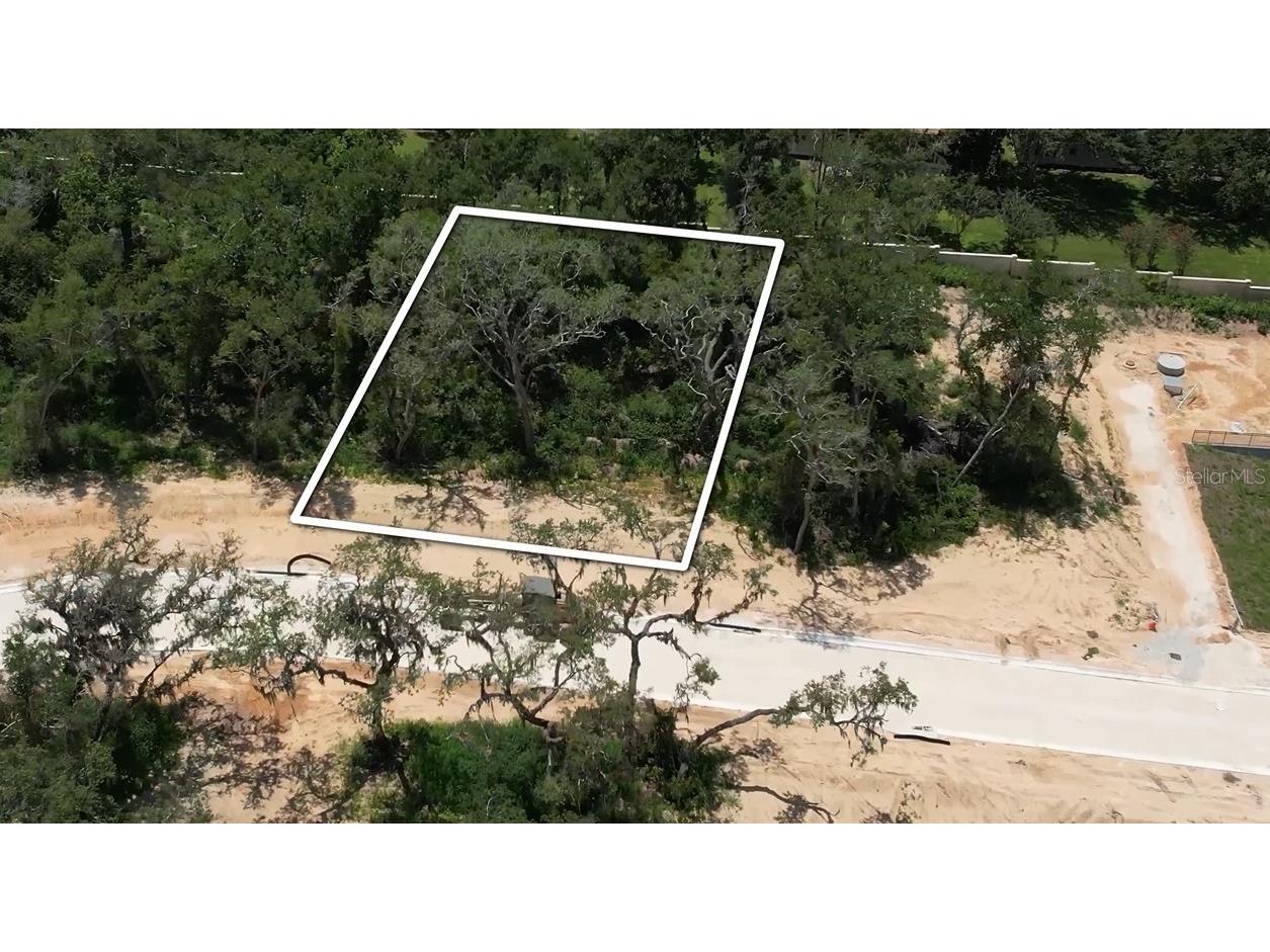 146 Tranquil Mirror Lake Court #LOT 19 Clermont FL 34711 - Mirror Lake O6391777 image6
