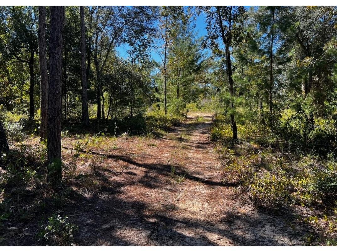 146 Westwood Drive Interlachen FL 32148 GC527468 image1