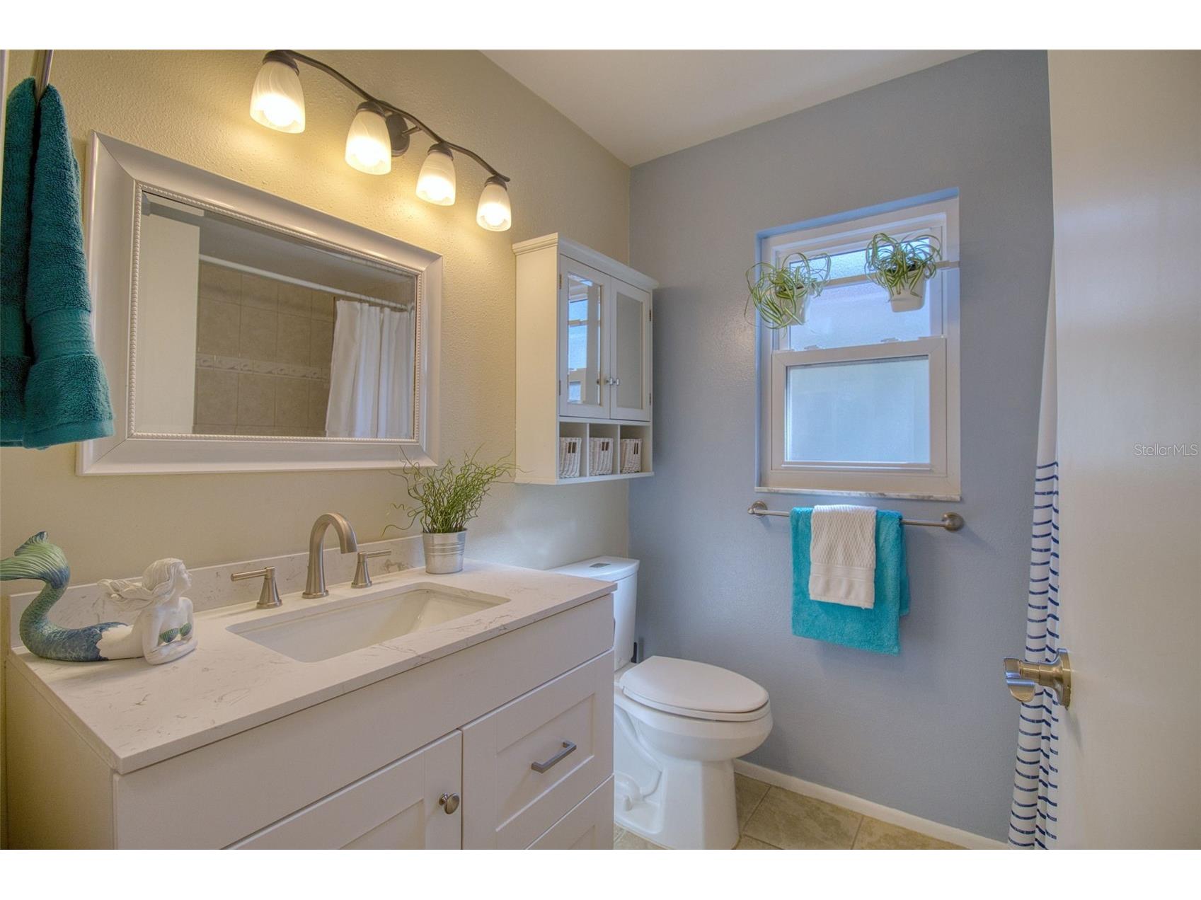 1460 Brier Court Palm Harbor FL 34683 TB8471479 image15