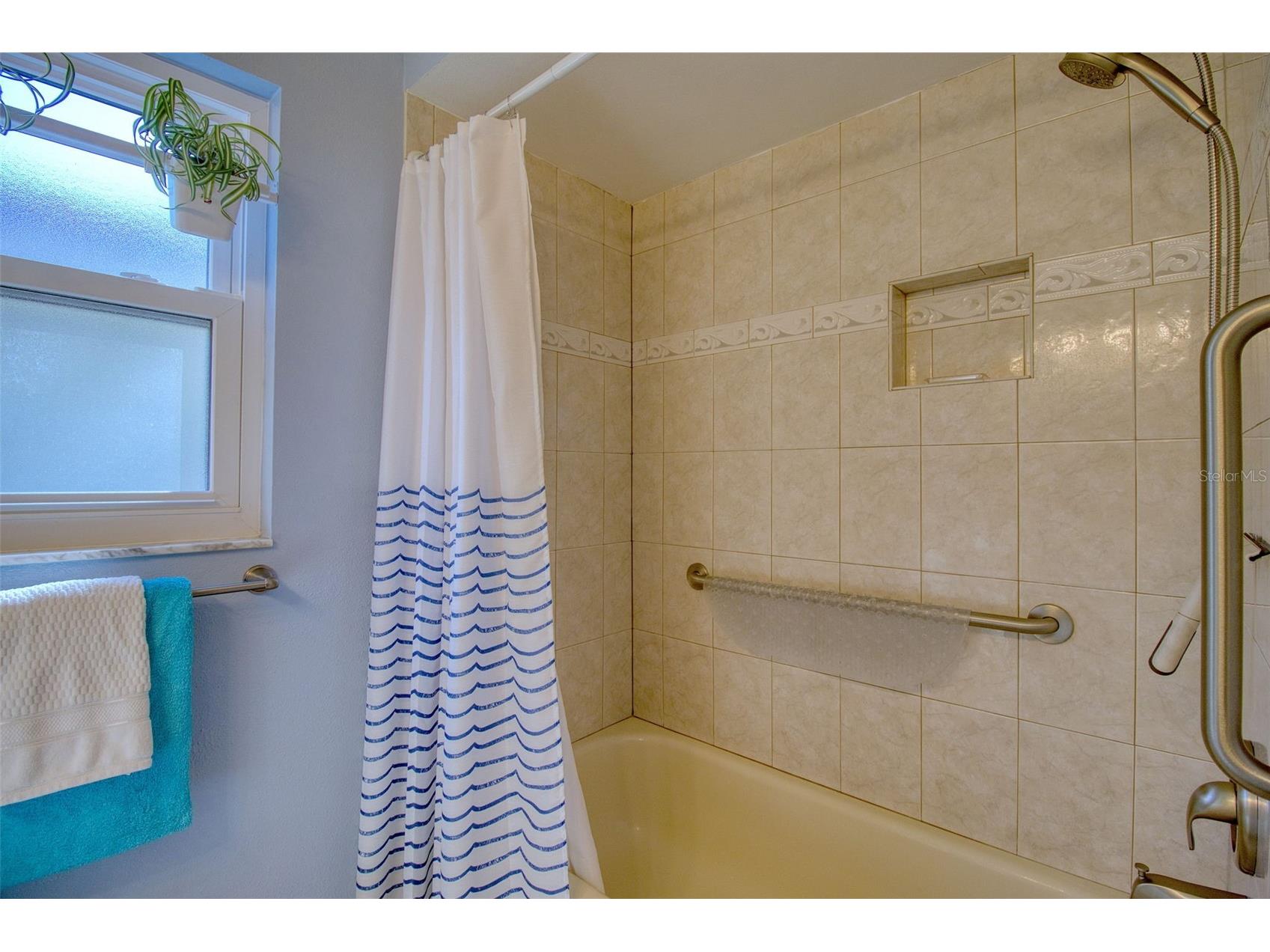 1460 Brier Court Palm Harbor FL 34683 TB8471479 image16