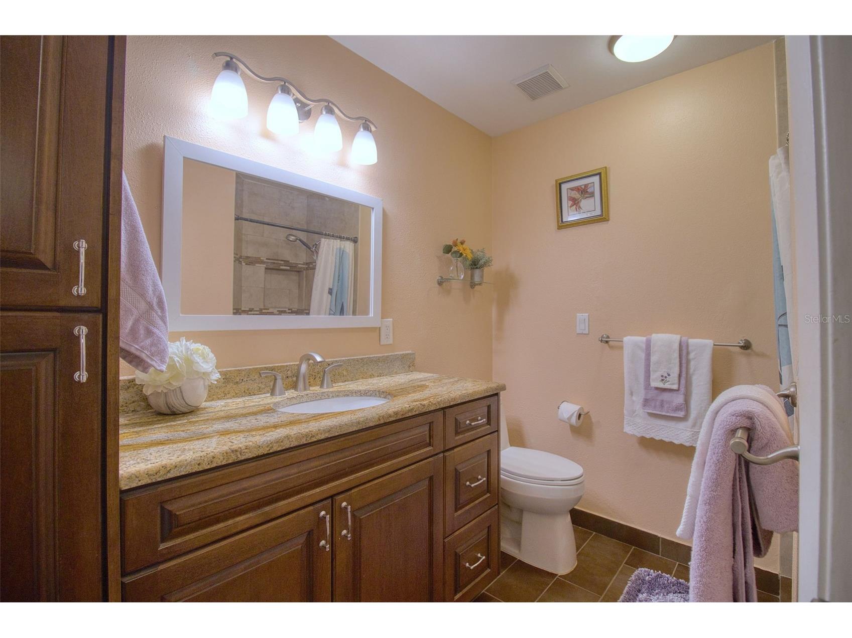 1460 Brier Court Palm Harbor FL 34683 TB8471479 image21