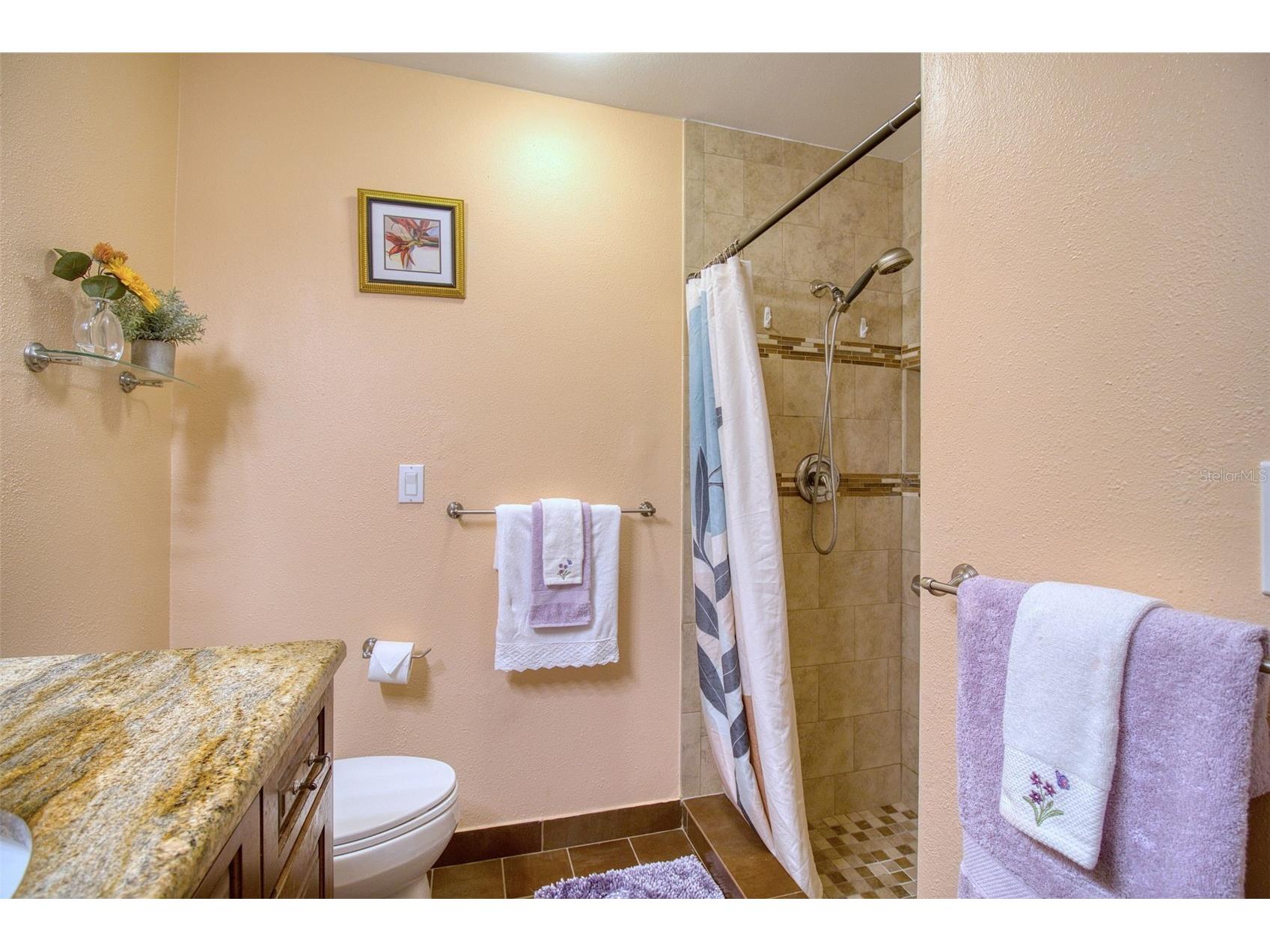 1460 Brier Court Palm Harbor FL 34683 TB8471479 image22